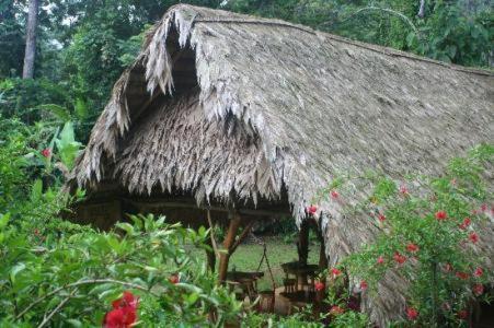 فندق Blue Conga Puerto Viejo de Talamanca المظهر الخارجي الصورة